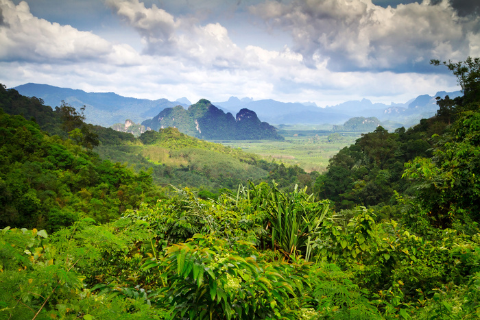 Parc de Khao Sok