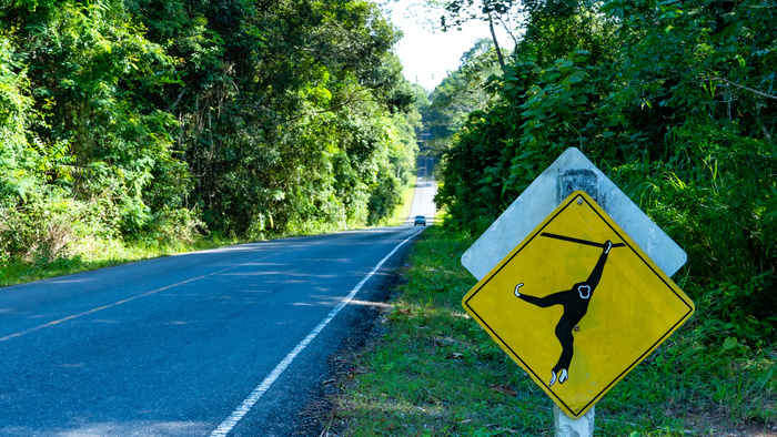 Parc National de Khao Yai