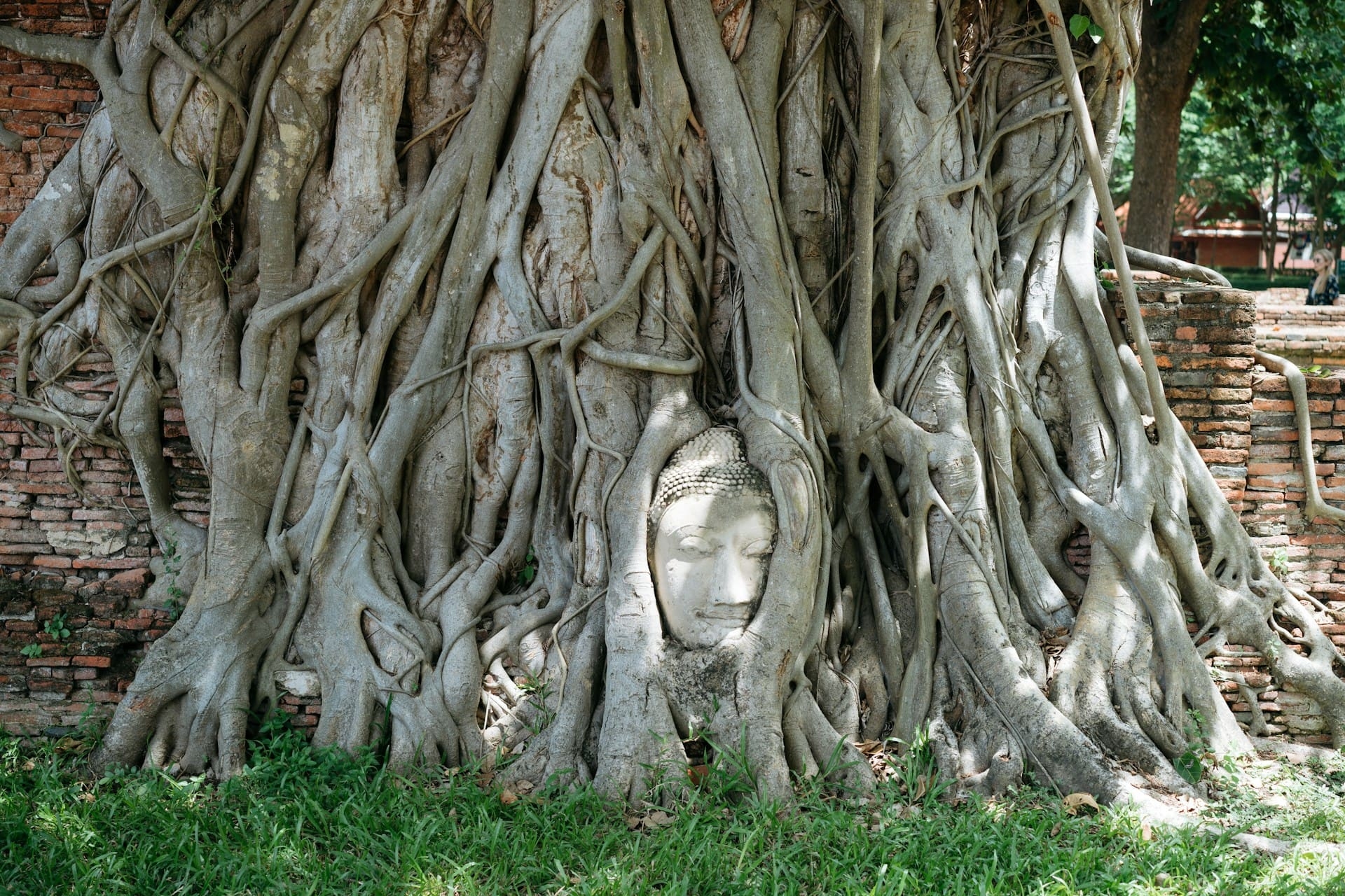 Ayutthaya