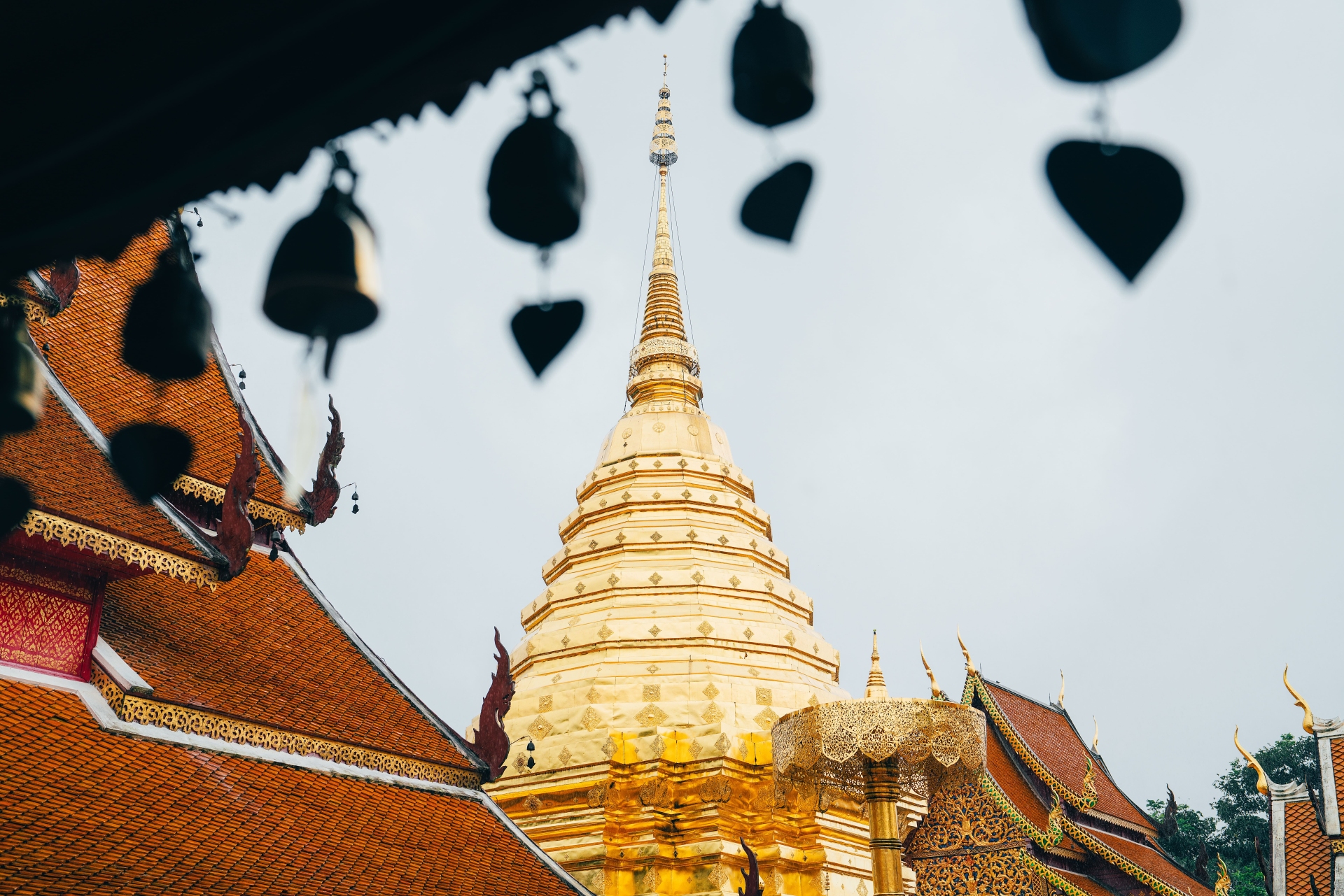 Chiang Mai - temple