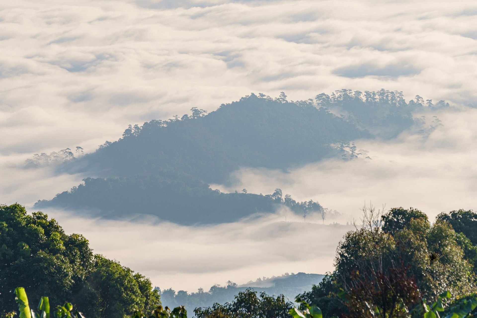 Doi Luang Chiang Dao​