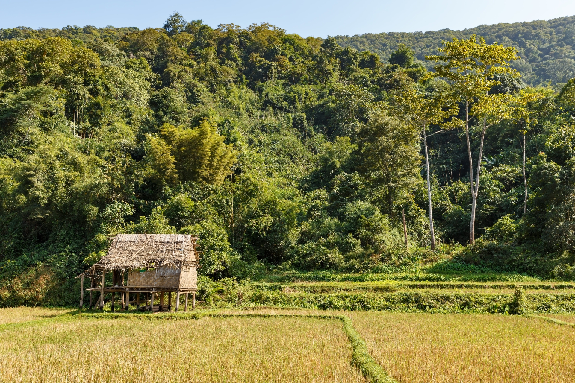 Paysage de la région d'Oudomxay