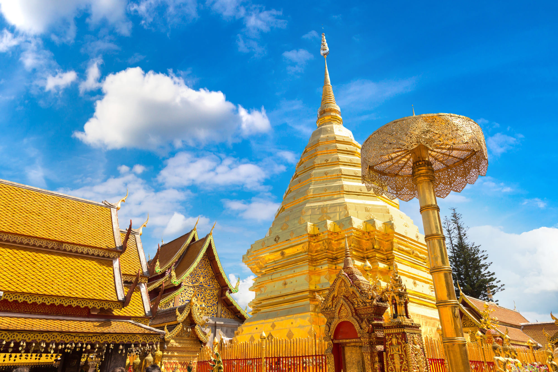 Temple doré à Chiang Mai en Thaïlande