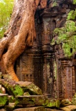 Temple Angkor-Wat-Cambodge