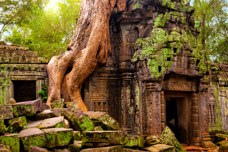 Temple Angkor-Wat-Cambodge