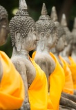 statues de Bouddha alignées à Ayutthaya