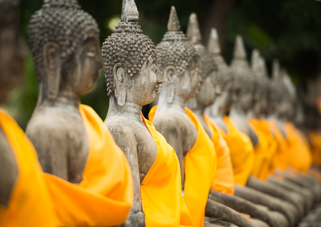 statues de Bouddha alignées à Ayutthaya