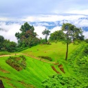 Nature à Chiang Mai en Thaïlande