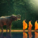 Elephant et moines en Thaïlande