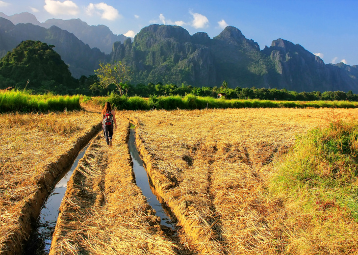 Champ à Vang Vieng au Laos