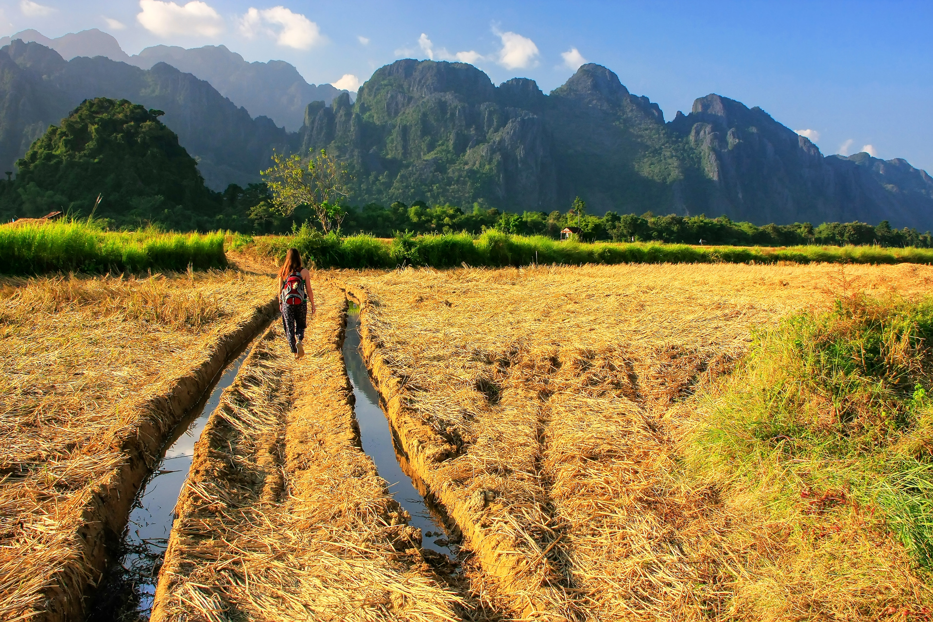 Champ à Vang Vieng au Laos