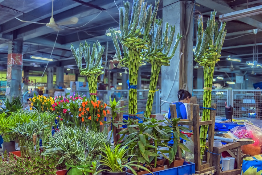 Marché Pak Klong Talad