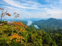 Khao Sok avec vue sur Cheow Lan