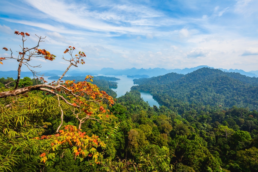 Khao Sok avec vue sur Cheow Lan