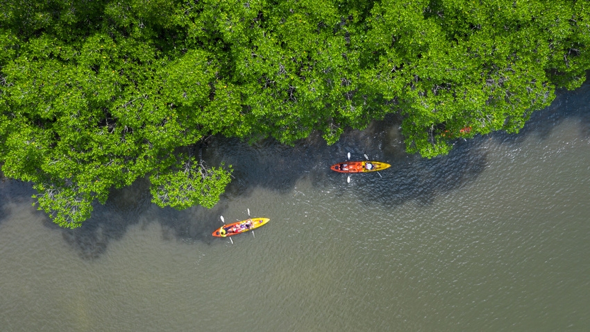 Mangroves d'Ao Thalane